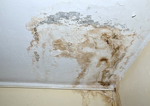 Causes Mold Problems